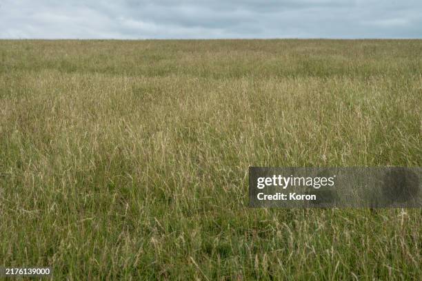 Large Field 1,018 Large Open Field Stock Photos, High-Res Pictures, and Images ...