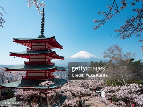 Mt. Fuji over Cherry Blossoms and Pagoda: Iconic View of Japan Mt. Fuji over Cherry Blossoms and Pagoda: Iconic View of Japan