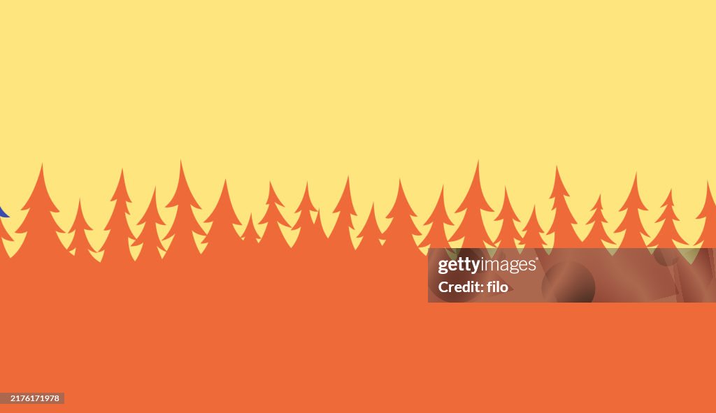 Seamless Pine Evergreen Tree Background Pattern