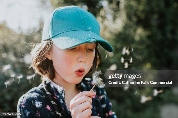 a young girl in a blue cap blowing dandelion seeds in a sunny outdoor setting during springtime - catherine falls stock pictures, royalty-free photos & images