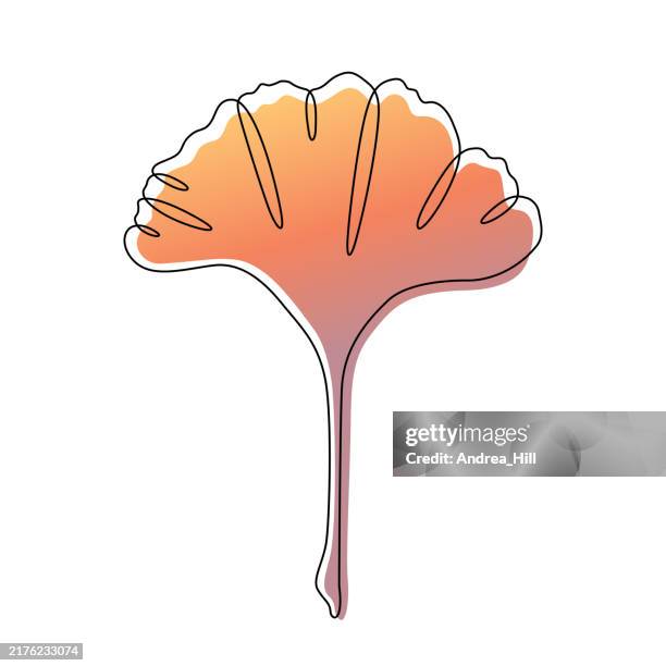 ginkgo leaf continuous line drawing with editable stroke and color elements - plant leaf close up vein stock illustrations