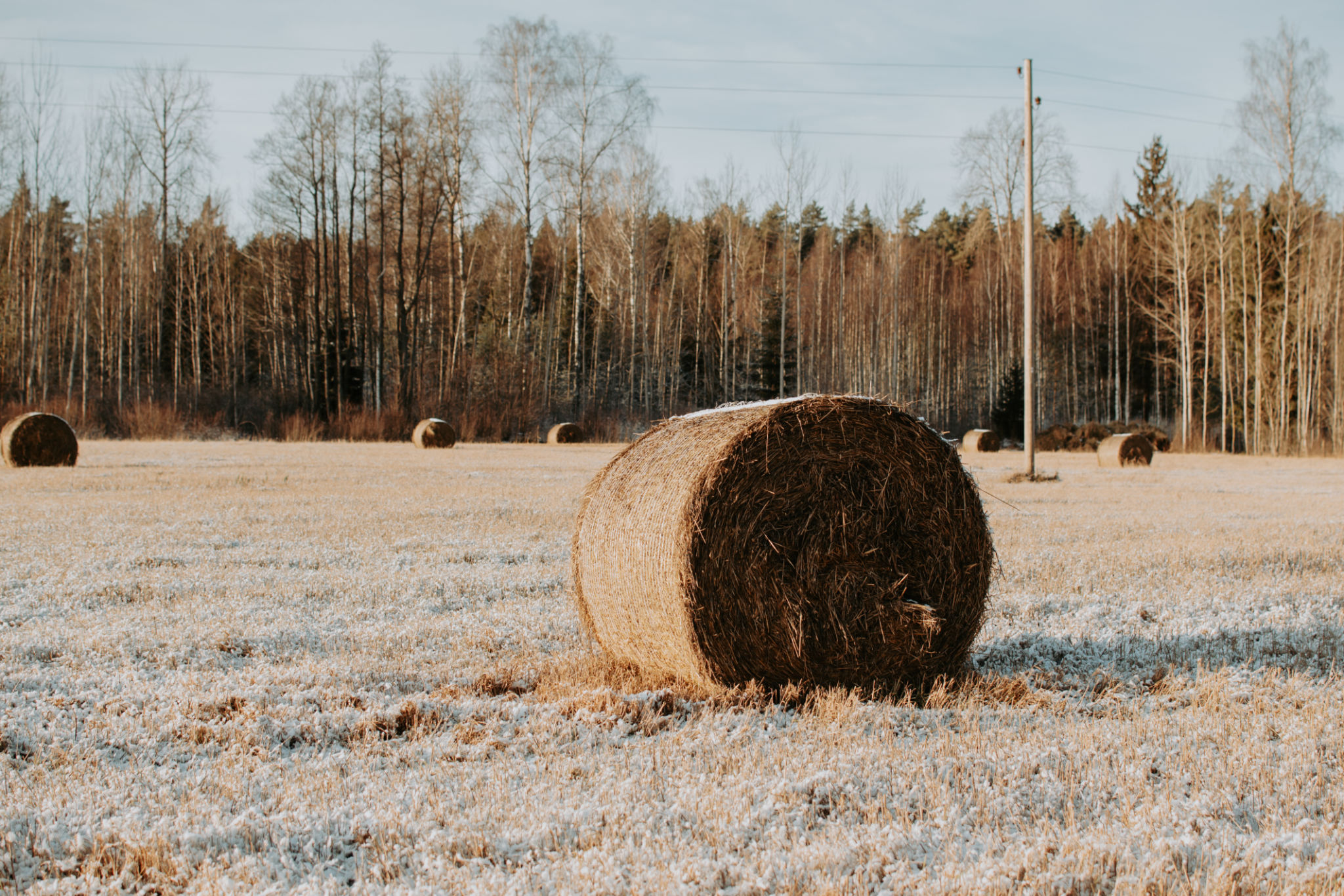 latvia agriculture