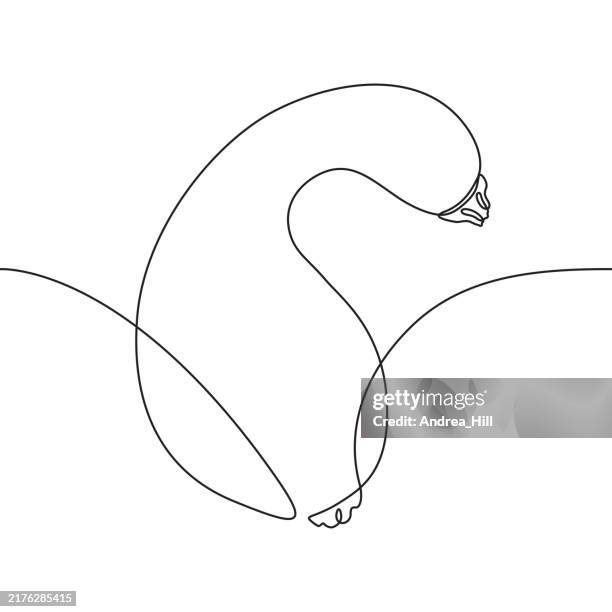 autumn squash continuous line drawing with editable stroke - yellow squash stock illustrations