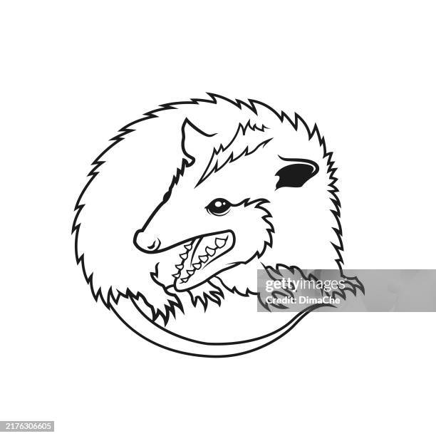 possum, opossum silhouette - cut out outline vector possum character mascot, icon, logo, tattoo, sticker - virginia opossum stock illustrations