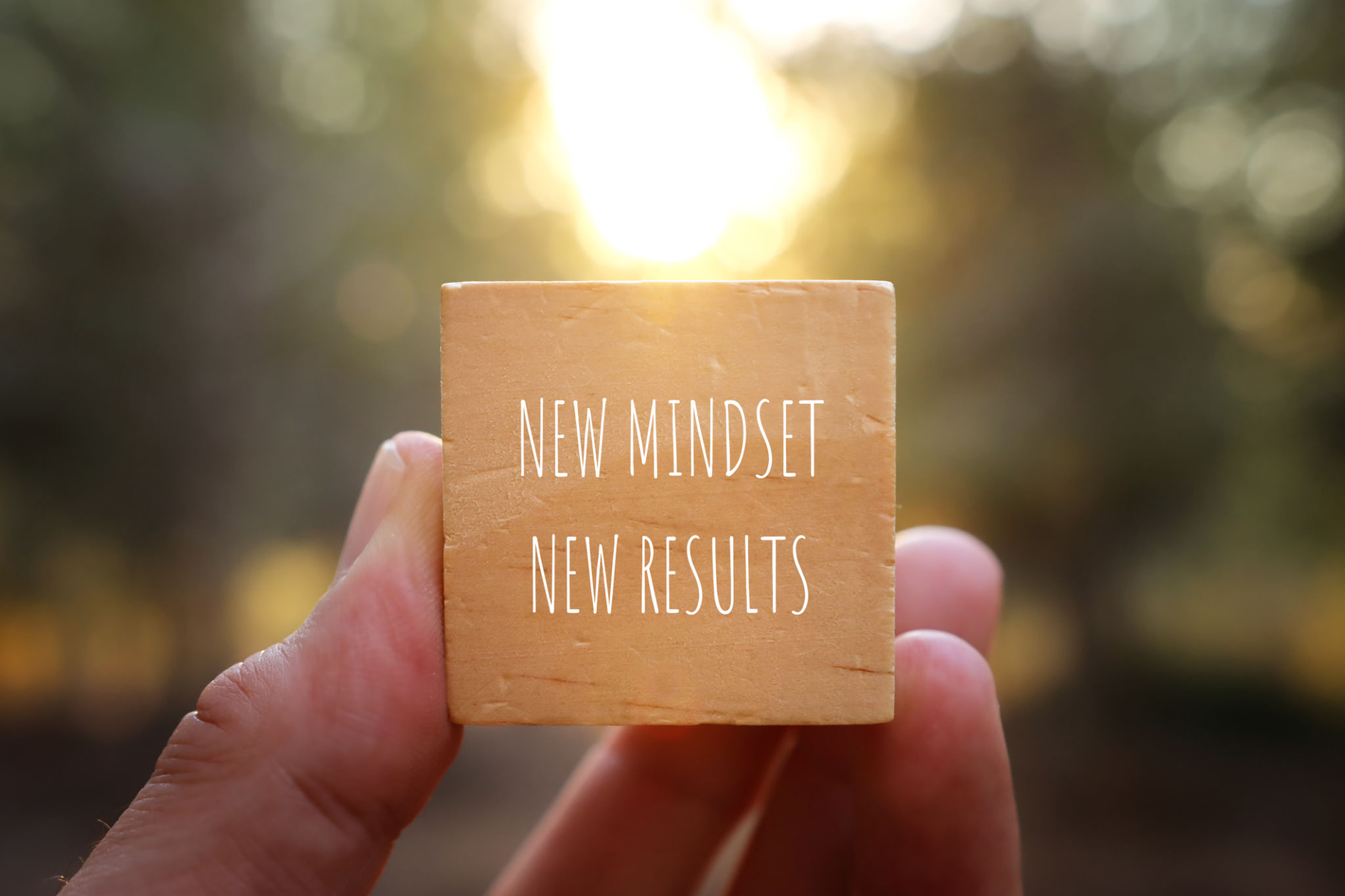 image of wooden cube with the text new mindset and results. success and personal development concept image of wooden cube with the text new mindset and results. success and personal development concept