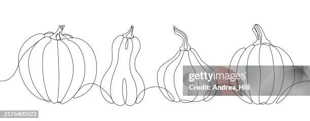 autumn pumpkins continuous line drawing with editable stroke - yellow squash stock illustrations