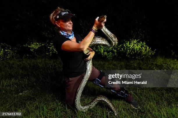 Amy Python Catcher 724 Burmese Python Snake Stock Photos, High-Res Pictures, and Images ...