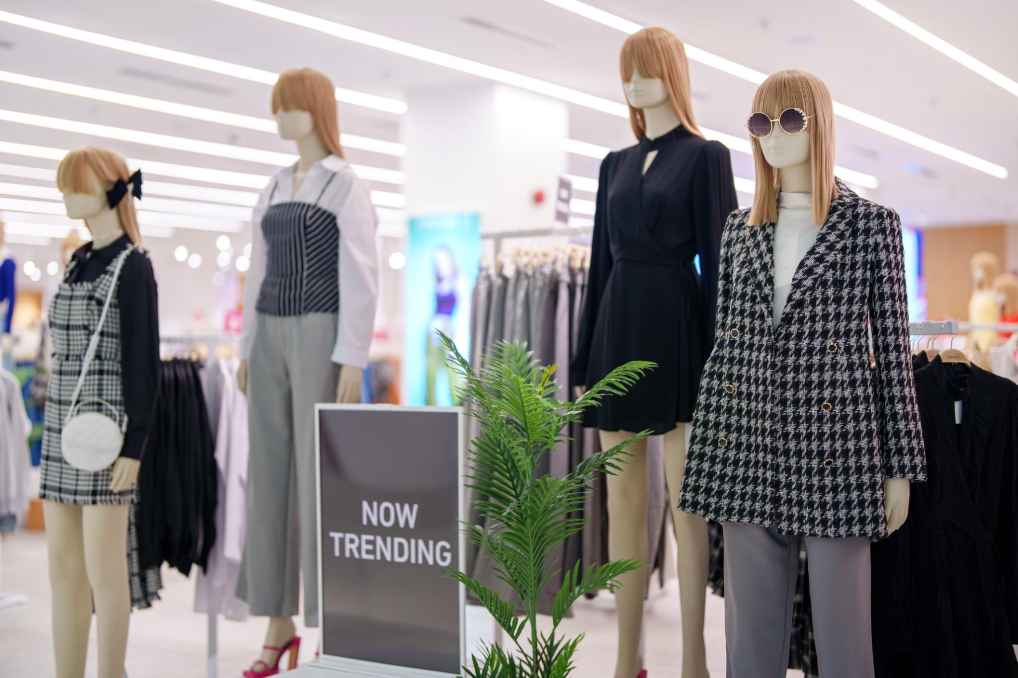 A cropped shot of women's clothing elegantly displayed on mannequins in a boutique. A cropped shot of women's clothing elegantly displayed on mannequins in a boutique.