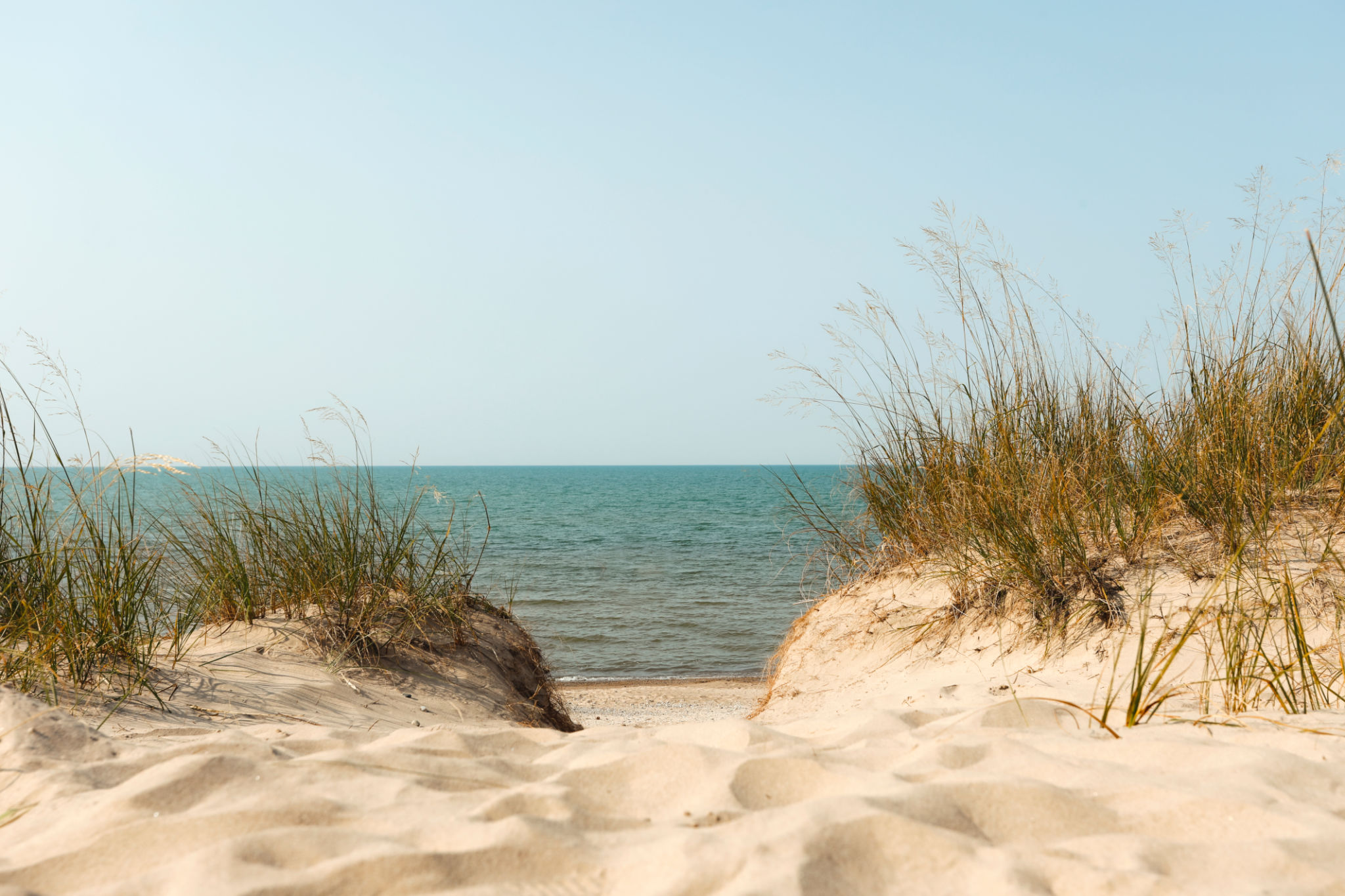 Sand Dunes at the Beach Sand Dunes at the Beach