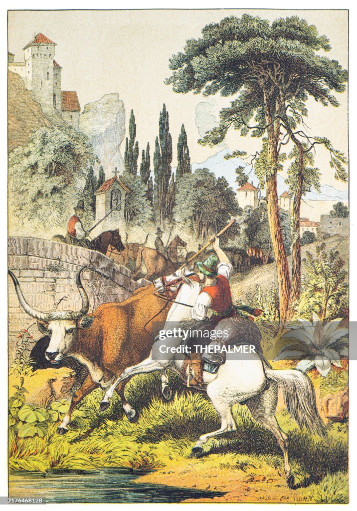 Italienische Landschaft: Männer zu Pferd bewachten die Büffel, Kiefern handkolorierter Stich 1876