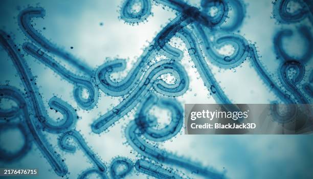 marburg virus cells - genetische variant stockfoto's en -beelden