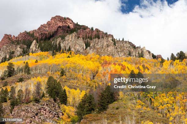 rocky mountain peaks with colorful fall foliage in colorado in the fall - littleton colorado stock pictures, royalty-free photos & images