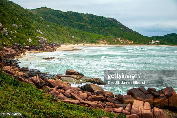 nude beach. panoramic view of the sea and nature. praia da galheta, florianopolis, santa catarina, brazil. - florianopolis stock-fotos und bilder