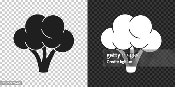 broccoli. icon for design on blank background - broccoli isolated stock illustrations