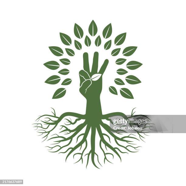 hand tree root taking a leaf symbol icon - root stock illustrations
