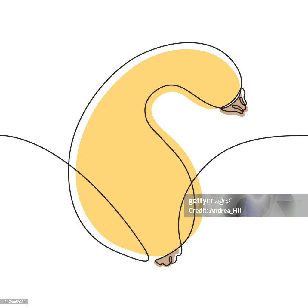 Autumn Squash Continuous Line Drawing with Editable Stroke