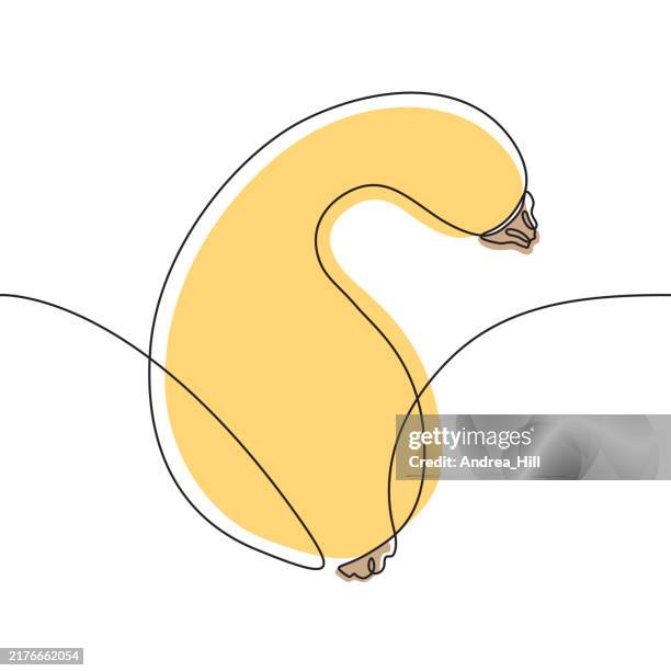 autumn squash continuous line drawing with editable stroke - yellow squash stock illustrations