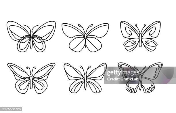 ilustrações de stock, clip art, desenhos animados e ícones de butterfly outline with drawn details collection - borboleta