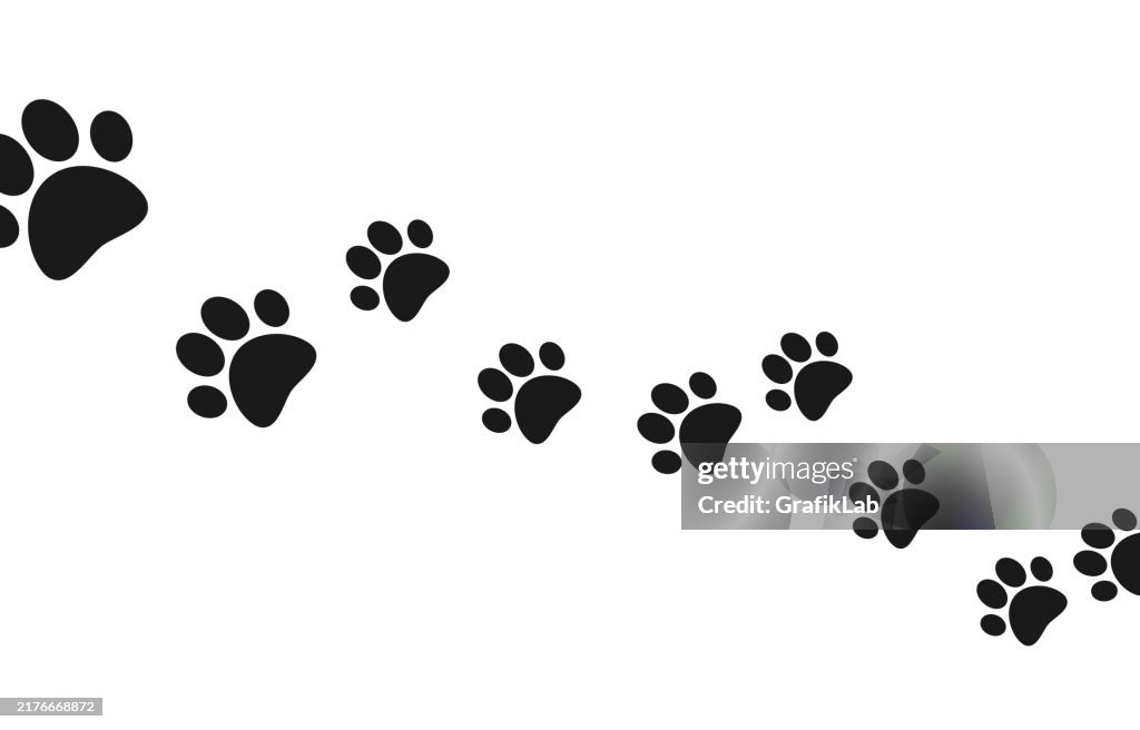 Paw print footprint. Dog, cat paw print. Vector