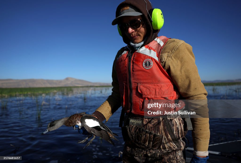 Botulism Outbreak Kills Tens Of Thousands Of Birds In Klamath Basin