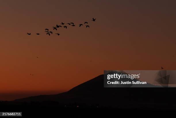 Geese fly over the Tule Lake National Wildlife Refuge on October 02, 2024 in Tulelake, California. An avian botulism outbreak at the Tule Lake...