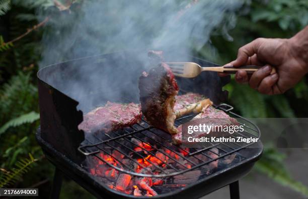 man grilling meat on small barbecue in the garden - utegrillat bildbanksfoton och bilder