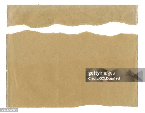 ilustrações de stock, clip art, desenhos animados e ícones de two pieces of envelope paper with unevenly torn edges - high quality scan of ripped paper in vector - natural texture with details in macro - collage journaling scrapbooking paper - rasgado