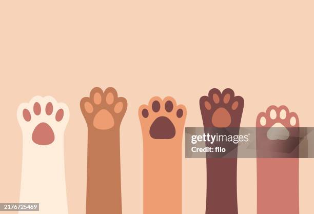 ilustraciones, imágenes clip art, dibujos animados e iconos de stock de patas de mascota fondo elevado - impronta-de-animal