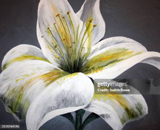 white lily - white lily illustration stock illustrations