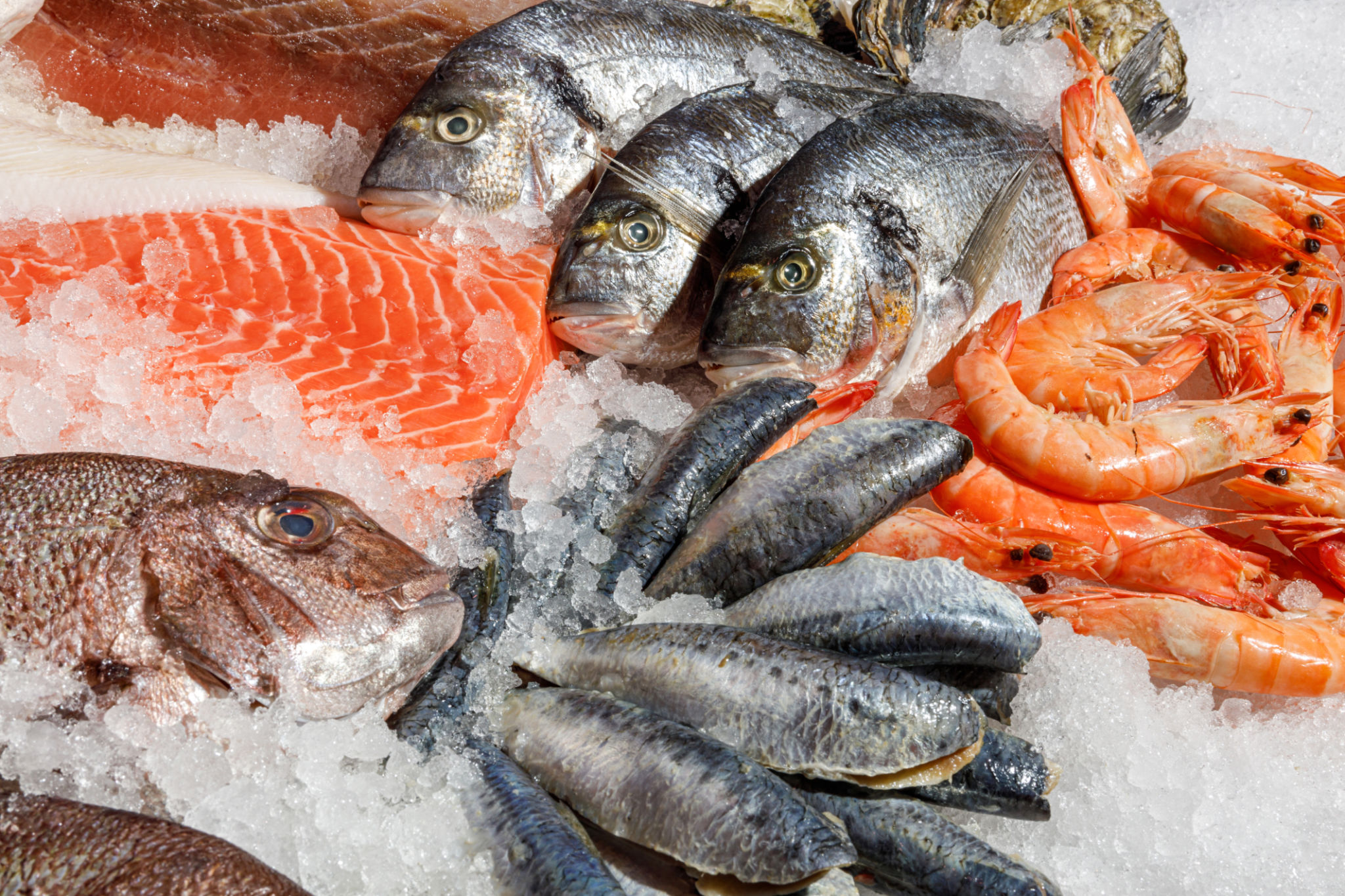 fresh fish