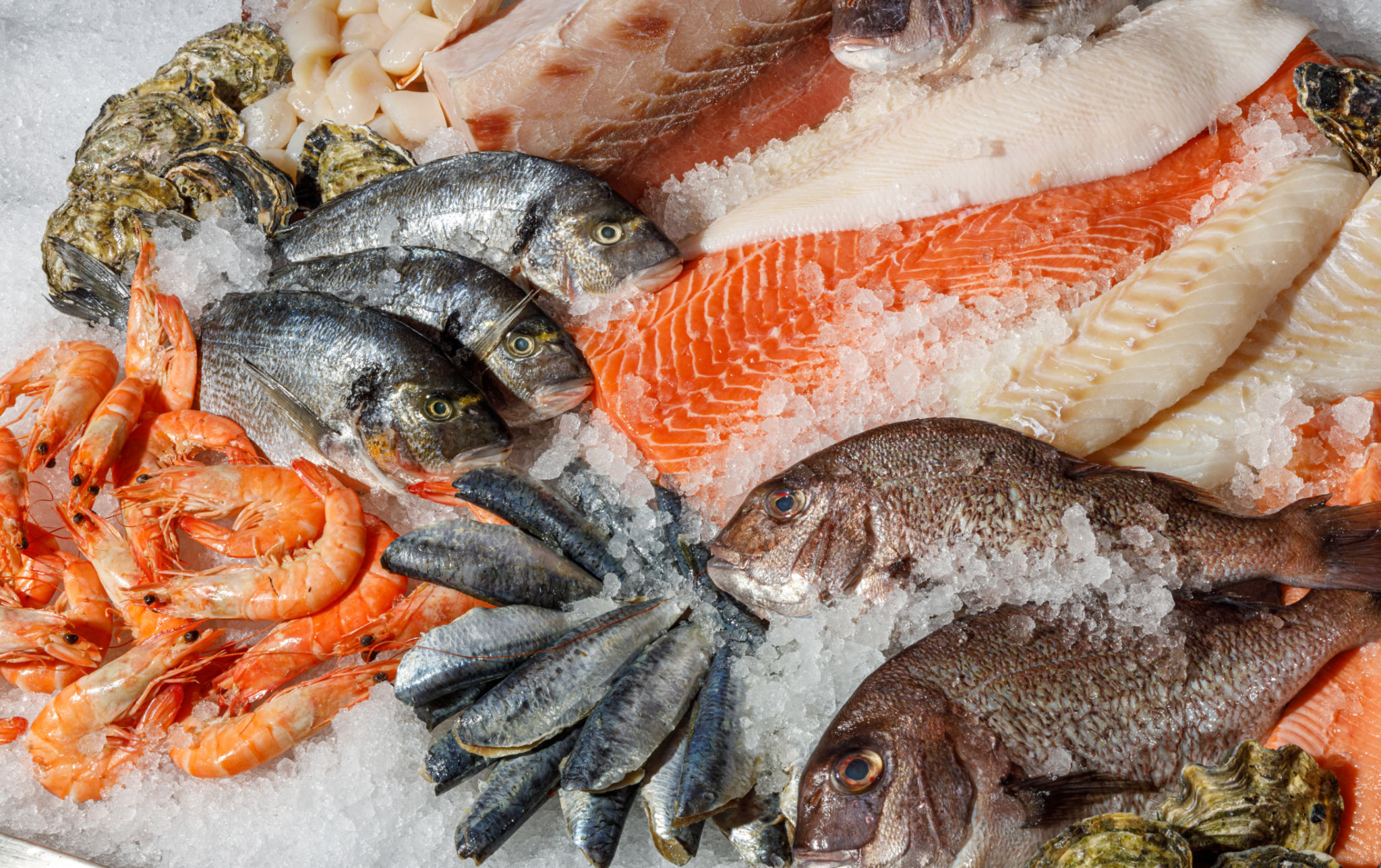 lerici seafood