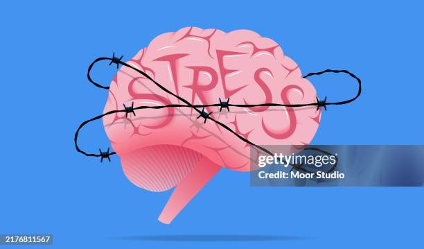 human brain bound with barbed wire vector illustration - barbed wire stock illustrations