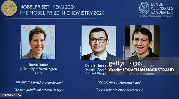 The laureates of the 2024 Nobel Prize in Chemistry are seen on a screen David Baker, Demis Hassabis and John M Jumper, at the Royal Swedish Academy...