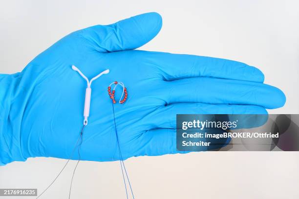 mirena hormone-releasing intrauterine device, without metal, intrauterine device iud, intrauterine ball, iub, copper bead ball with guide tube, hormone-free contraception with shape memory, dynamic contraception system - contraceptive stock pictures, royalty-free photos & images