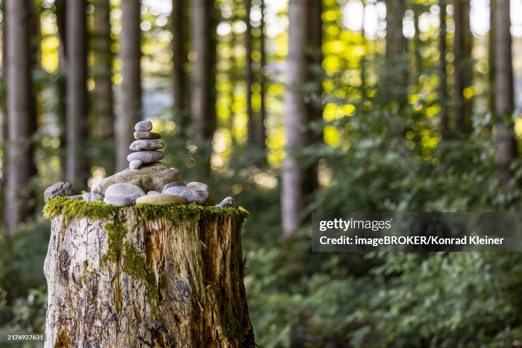 Cairn in the forest, Unterallgäu, Bavaria