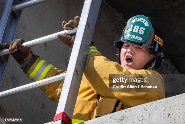 Fellow Ladder 275 Basic Military Training Centre Stock Photos, High-Res Pictures, and ...