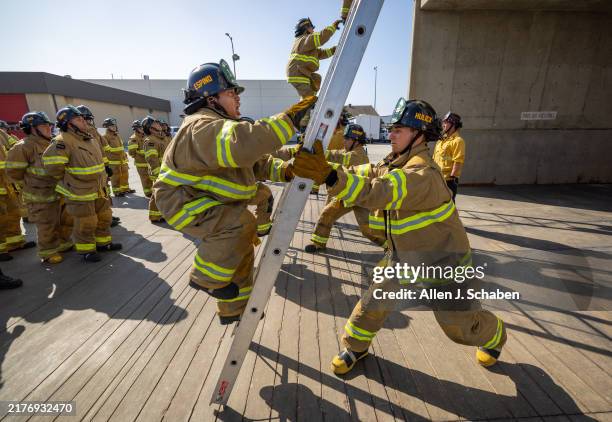 Fellow Ladder 579 Jacob Ladder Stock Photos, High-Res Pictures, and Images - Getty Images