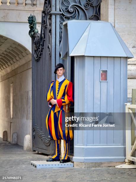 the swiss guard - vatican museum stock pictures, royalty-free photos & images