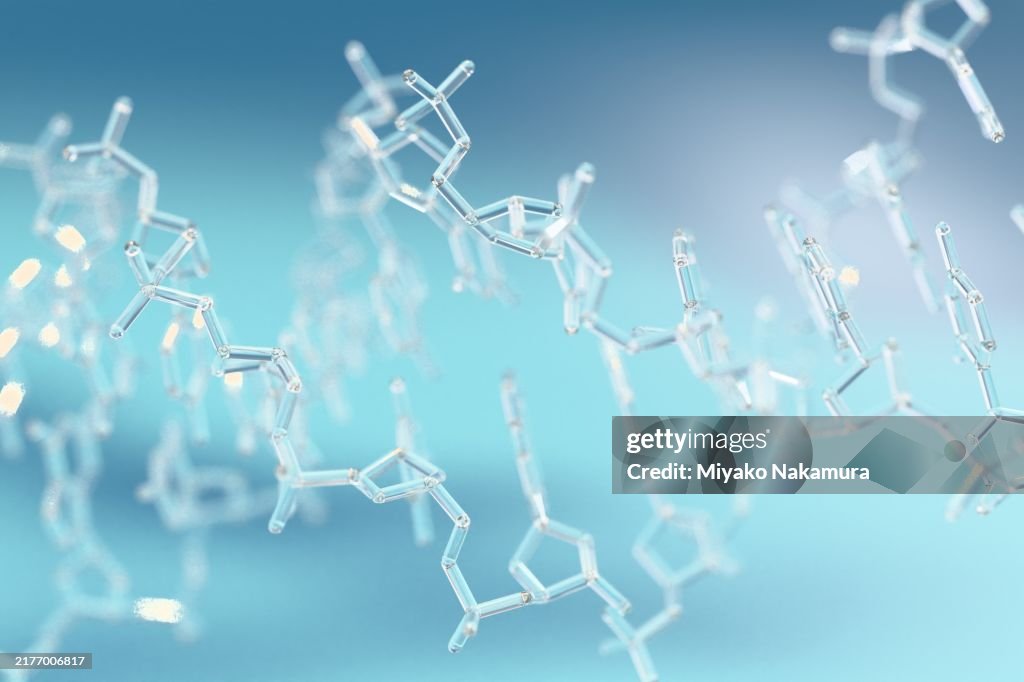 Molecular model of ball and stick DNA.
(Transparent material )