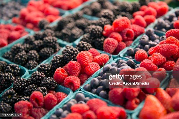 seattle, marché de pike street, baies - fruit rouge photos et images de collection