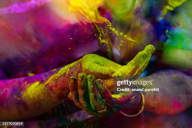 holi - powder paint stock pictures, royalty-free photos & images