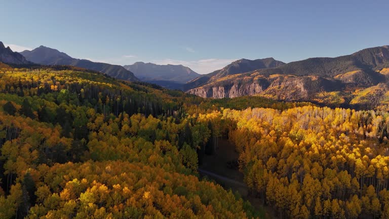 https://media.gettyimages.com/id/2177091024/video/fall-colors-near-telluride-colorado.jpg?b=1&s=640x640&k=20&c=87zZLxq3ChE6xkhh-uAxJ60_Lu7W-T-TGVAh006n25c=