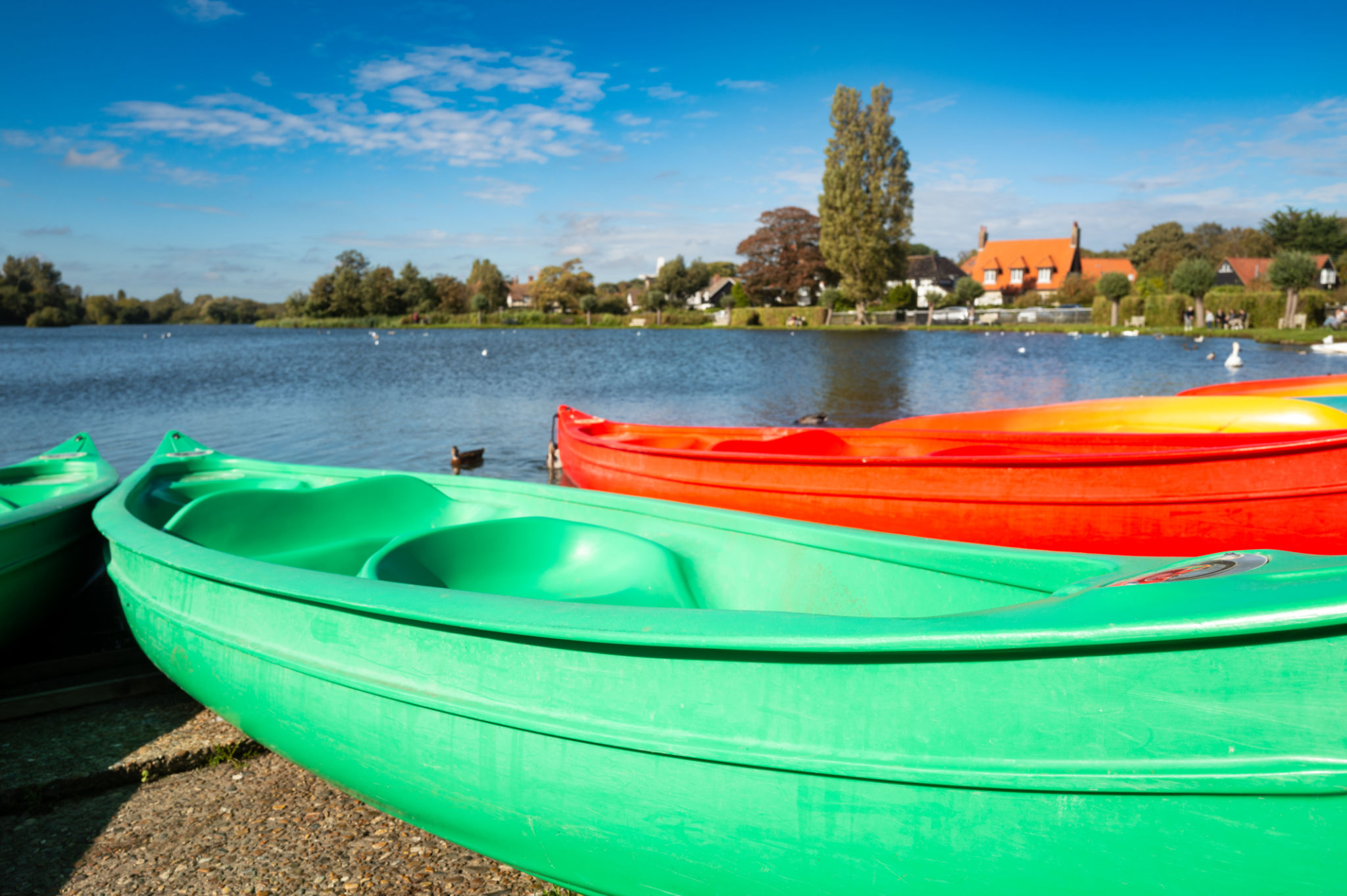 sailing championships