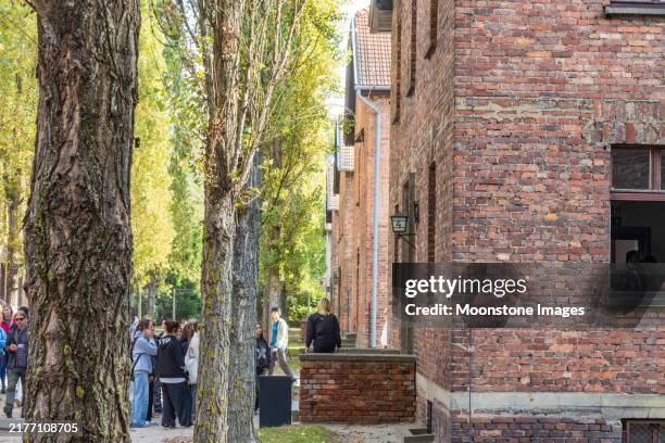 tourists at auschwitz concentration camp near oświęcim in malopolskie province, poland - crematorium stock pictures, royalty-free photos & images