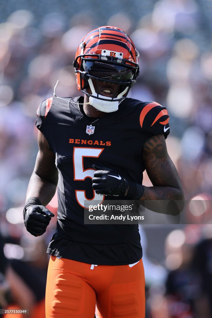 Baltimore Ravens v Cincinnati Bengals
