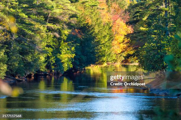 muskoka chairs by water in autumn sun - cottage country stock pictures, royalty-free photos & images