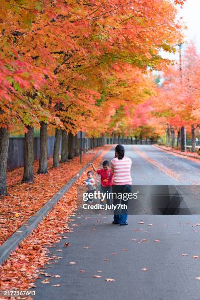 autumn family picnic - renton stock pictures, royalty-free photos & images