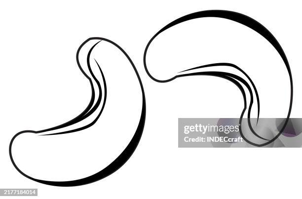 cashew nut outline - dried fruit stock illustrations