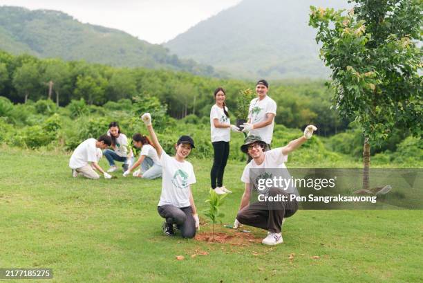 une équipe de jeunes bénévoles travaille ensemble pour planter des arbres afin de restaurer l’environnement dans le sacrifice et l’unité. - propriété forestière de production photos et images de collection
