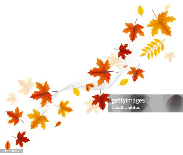 leaves diagonal - fall leaf pattern vector stock illustrations